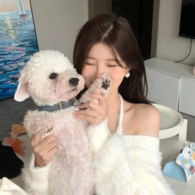 凤穿牡丹